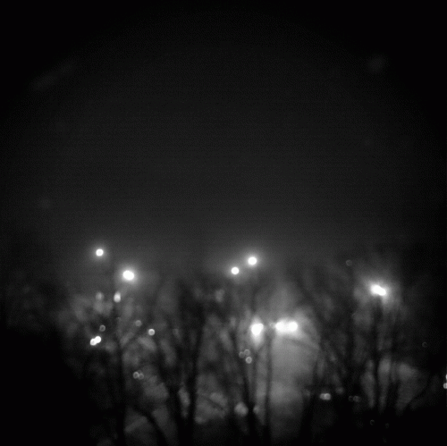 Ghosts Of Breslau : The Crows, The Dead & The Fog